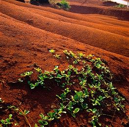 科乐美对《eFootball 2022》糟糕表现发表官方声明