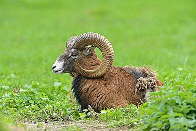 手绘风剧情冒险游戏《OU》8月31日发售